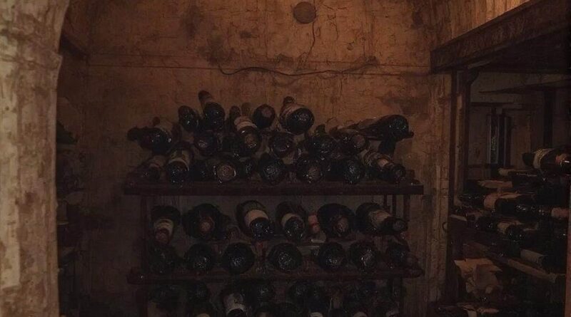 Budowa piwnicy na wino w ogrodzie