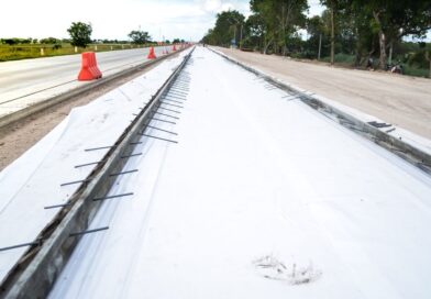 Geowłókniny w ogrodzie – stabilizacja skarp, ochrona przed erozją i wsparcie dla roślin