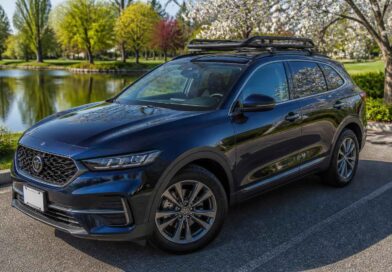 Granatowy SUV z bagażnikiem dachowym zaparkowany przy stawie w parku